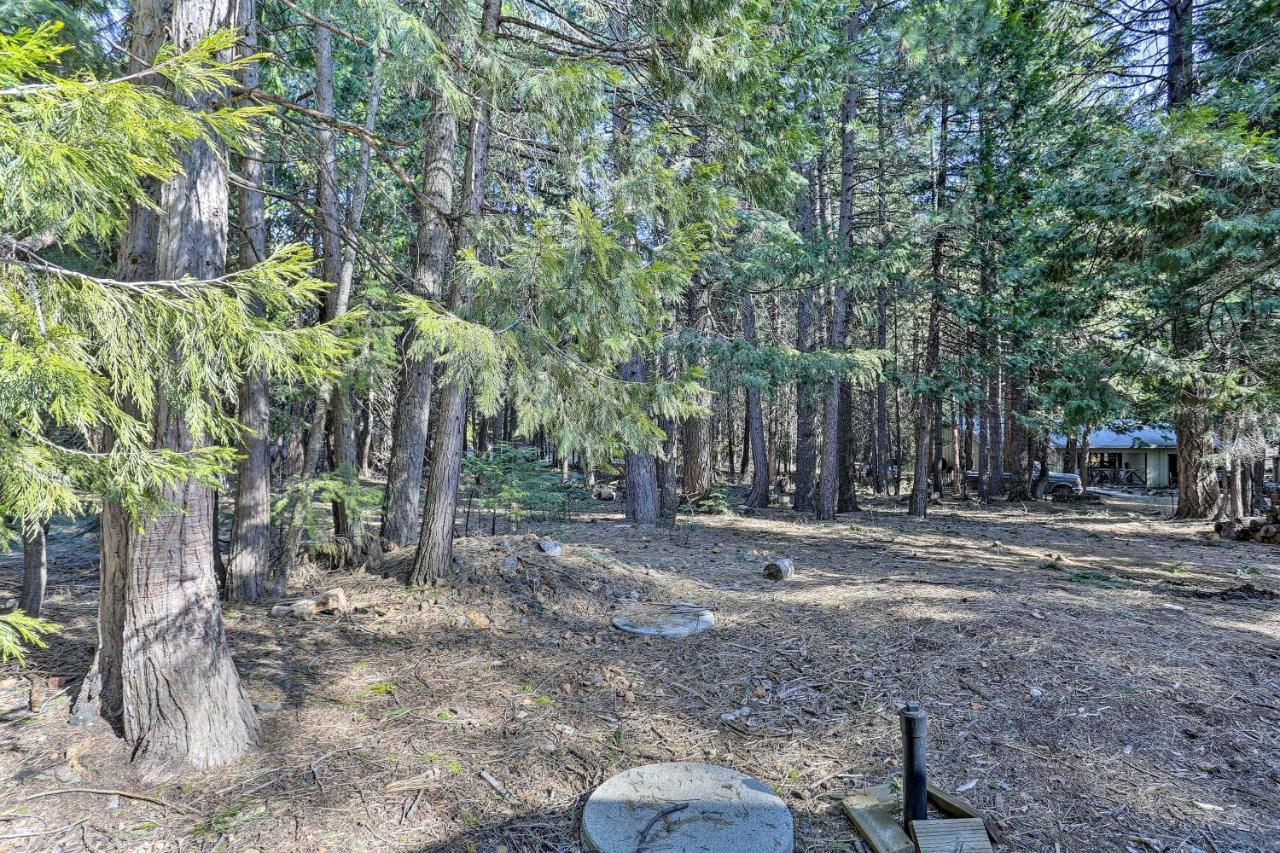Base Camp Lassen Home 13 Mi To Volcanic Natl Park Shingletown 외부 사진