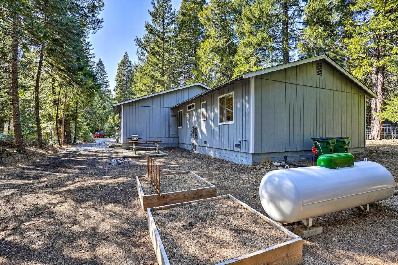 Base Camp Lassen Home 13 Mi To Volcanic Natl Park Shingletown 외부 사진
